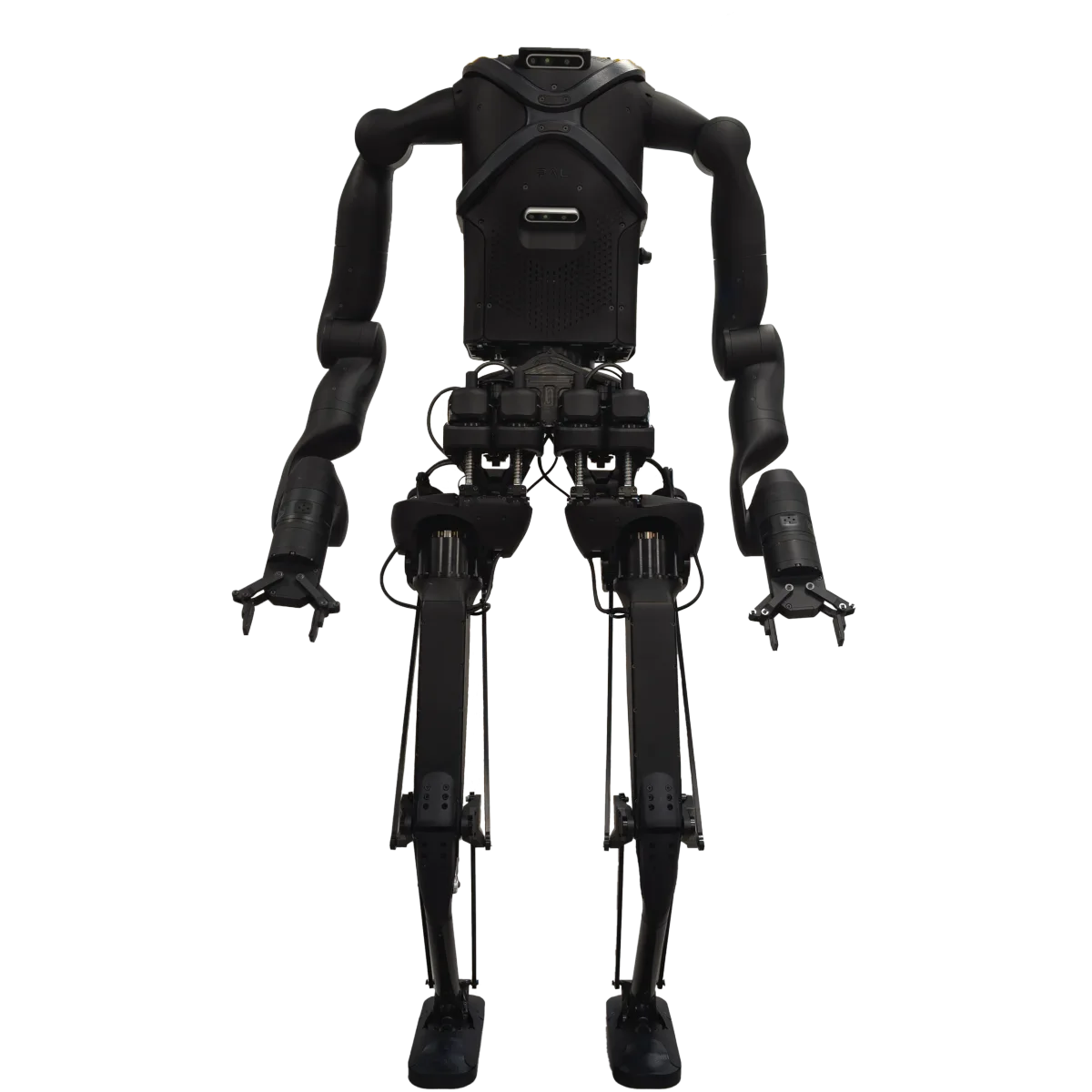 Kangaroo, PAL Robotics