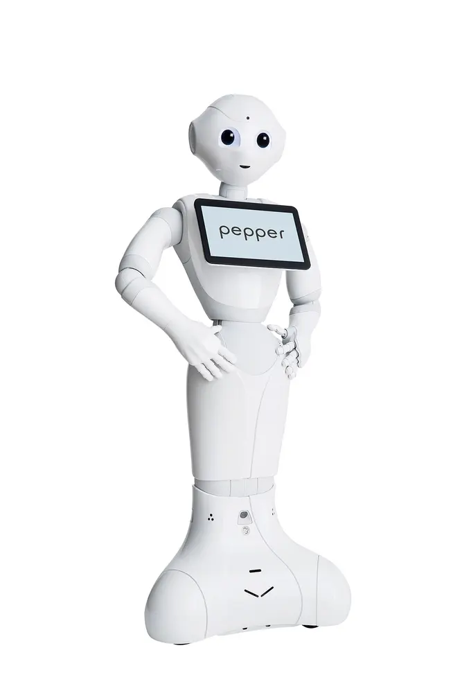 Pepper, SoftBank Robotics