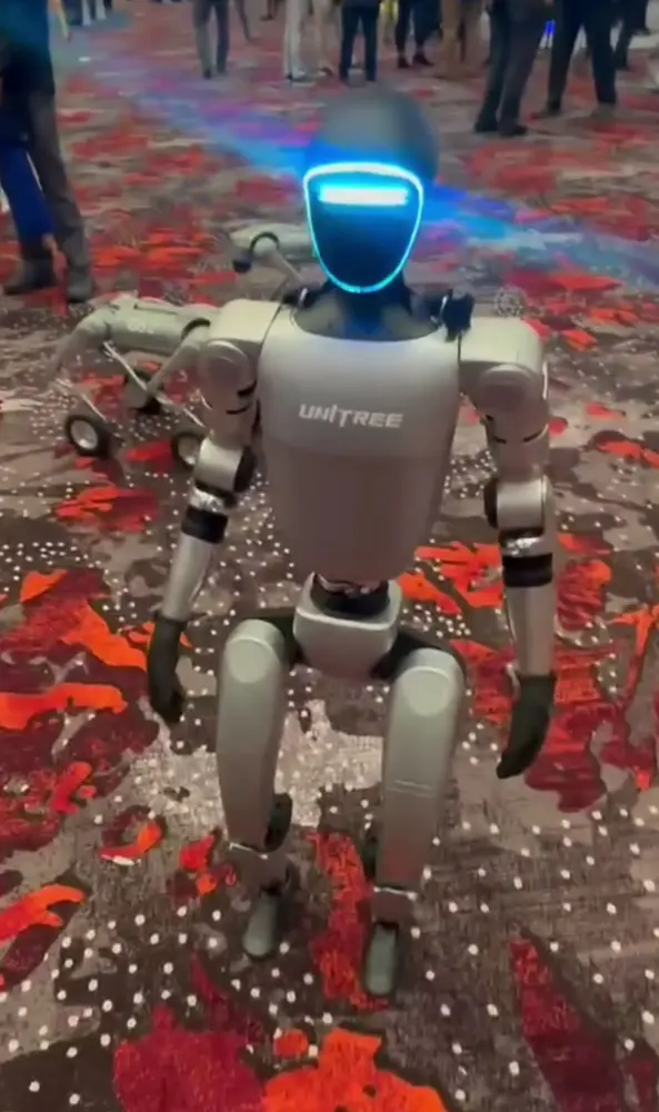 Unitree G1, Unitree Robotics
