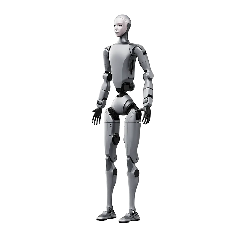 Unitree H2, Unitree Robotics
